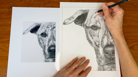 Graphite Pencil Drawing for the Advanced Beginner