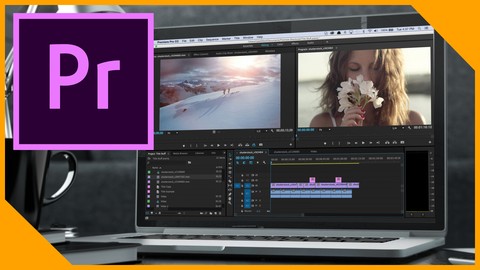 Introduction to Adobe Premiere Pro CC [Master it in a Day]
