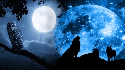 Shamanic Animal Totems & Energy Healing Activations