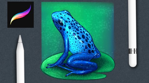 Procreate Essentials: Paint a Blue Dart Frog