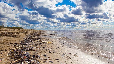 Understanding Water and Waste Management
