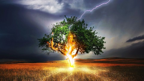 Volting: Expressing Your Will in the Universe