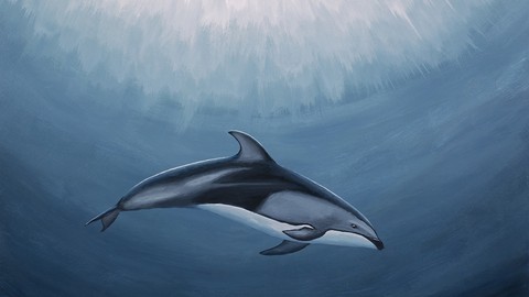 Wildlife Art Underwater