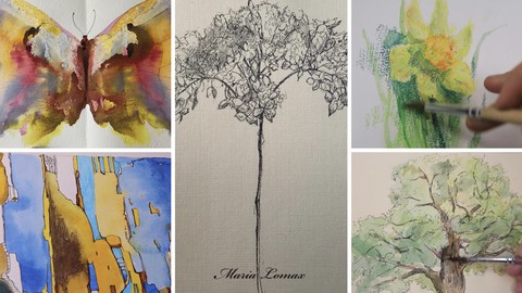 Diverse Drawing Techniques