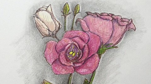 Creating a mixed media Floral Artwork