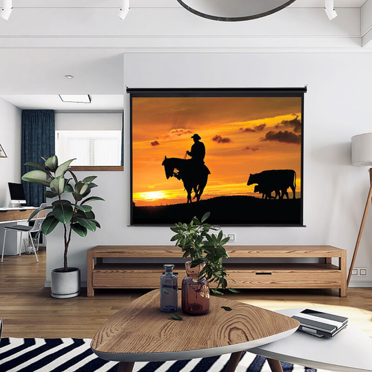 Livingandhome 100 Inch HD Manual Pull Down Projector Screen