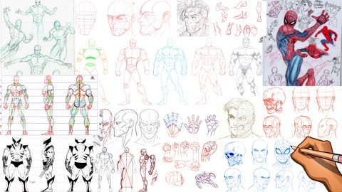 Simplified Superhero Anatomy (Male)