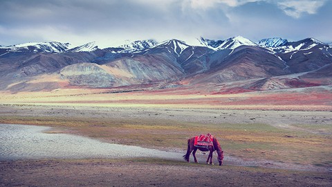 Basic Photography Course: From Basic to Perfect