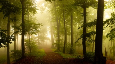 Composition in Outdoor Photography