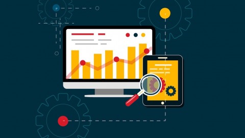 Wordpress SEO