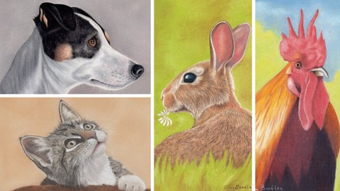 How To Draw Animals for Beginners - Volume 3