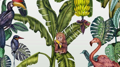 Drawing Jungle World + Photoshop Colouring