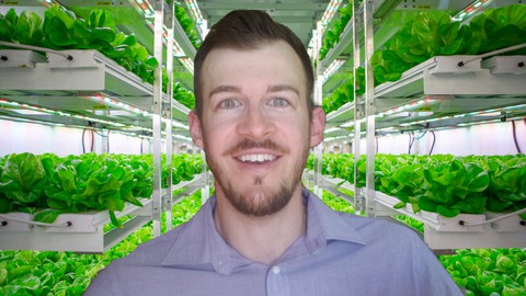Hydroponics vs Aquaponics