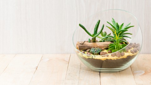 KhetiBuddy's DIY Terrarium Workshop (in Hindi)