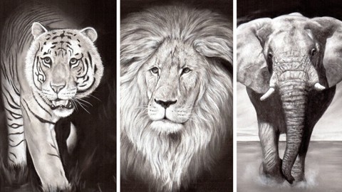 Draw Wild Animals in Black and White 4 Pencils Vol 1
