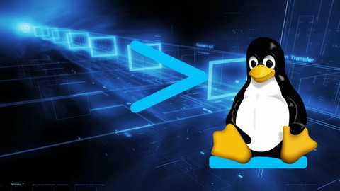 Terminal Linux, Shell Scripting e Gerenciamento de Redes