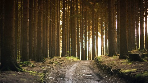 How to Heal from Grief and Live Beyond the Past