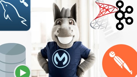 Mulesoft An "In-depth & Extensive" Tutorial for Beginners