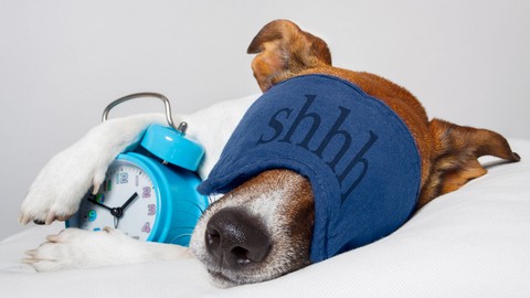 Relax & Dream - Dormi prima e meglio