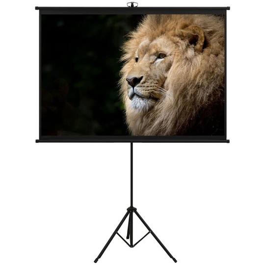 Projection Screen with Tripod 57' 1:1 - White