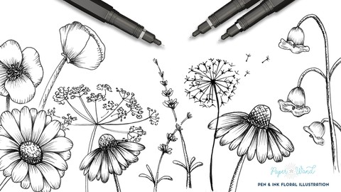 Intro to Floral Illustration: How to Draw Wildflowers