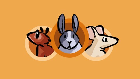 How to Draw a Bunny and Rodents Master Drawing Animals