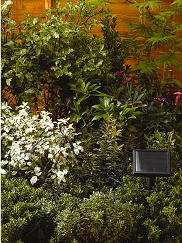 Smart Solar 100 White Led Solar Powered Light String