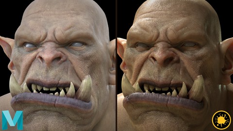 Skin Texturing And Shading In Mari And Arnold