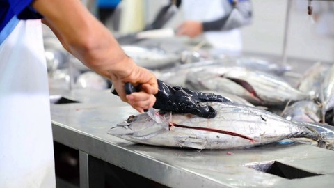 Basics of Fish Processing