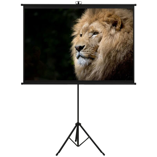 Projection Screen with Tripod 47' 1:1 - White