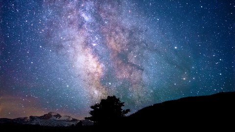 The Essential BioDynamics: Partner With Earth & Universe