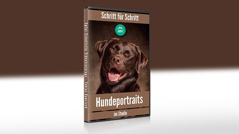 Schritt fr Schritt Hundeportraits im Studio