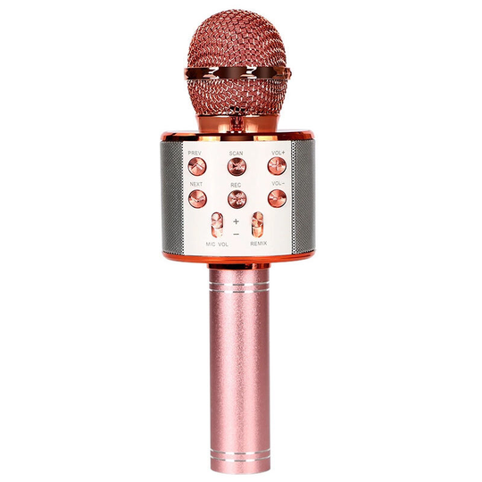 Karaoke microphone, 2-in-1 Bluetooth speaker and media player