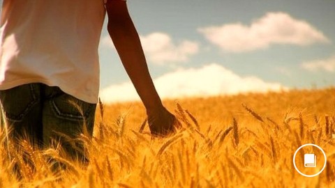 Spiritual Sonship and End Times Truths Eschatology