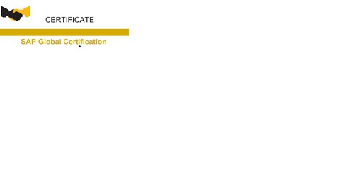 SAP S/4HANA Financial Accounting Associates 1909