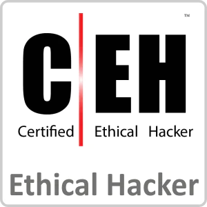 Certified Ethical Hacker (CEH) Version 11 (ECC 312-50) Part 1, 2, 3 eLearning Course
