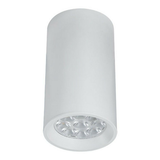 Larissa Momin Surface Mounted Ceiling Lamp Downlight Spot 1 Light Aluminium White