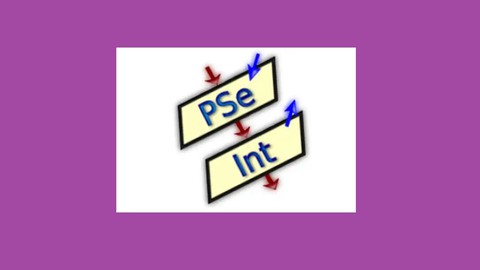 Curso PSeInt algoritmos y lgica de programacin