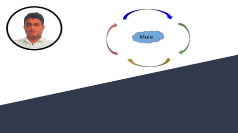 Mulesoft - API Life Cycle Management