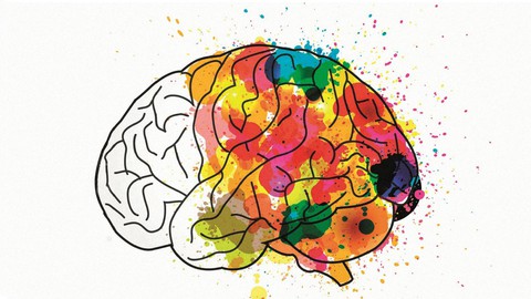 Productivity Principles From a Neurosurgeon