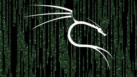 Hacker tico Profissional com Kali Linux v2022