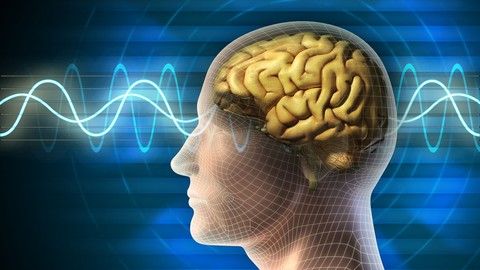 Meditation, Creative Flow States and Mindfulness Training