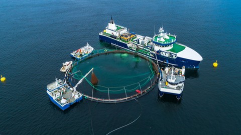 Aquaculture 4.0 - The Impact of Industry 4.0 on Aquaculture