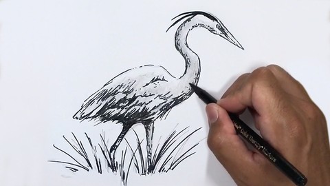 Art & Drawing Bootcamp Challenge: Developing Daily Habits
