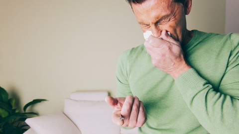 How To Transform Dust Allergies Total Reboot
