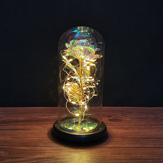 Aougo - Charming Everose, Glass Dome with led Lights, Gift Ideas for Women, Christmas, Mother's Day (Colorful Warm Light Roses)