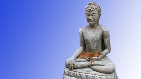 Zen Buddhism 101 - Awaken Your Natural Joy