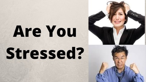 Stress Management Blueprint-Master Stress, Anxiety, Fear