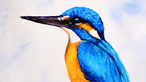 Watercolor Painting Kingfisher; best techniques for success