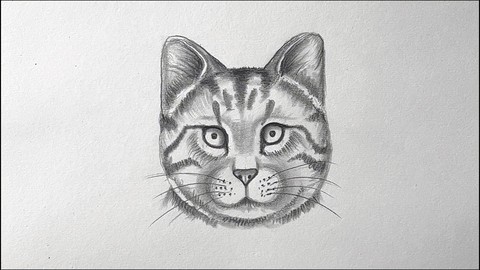 Ultimate Drawing and Painting Course for Kids
